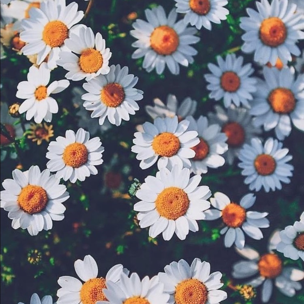 Meet your Posher, Makenzie